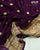 Traditional Pure Georgette Brinjal Palav Banarasi Bandhani Saree
