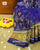 Traditional Chandabhat Single Ikat Rajkot Patola Saree