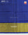 Exclusive Parrot Motif Blue Single Ikat Rajkot Patola Saree