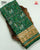 Traditional Hathi Popat Green Single Ikat Rajkot Patola Saree
