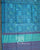 Handwoven Hathi Popat Design Light Blue Woolen Patola Shawls