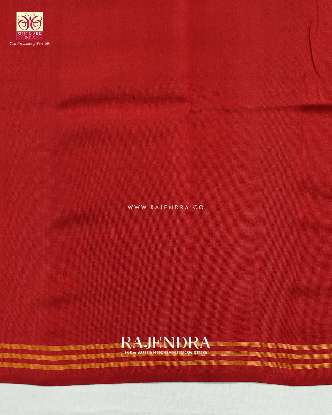 Traditional Manekchowk Design Red and Light Blue Ikat Rajkot Patola Saree