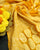 Traditional Khadi Georgette Mustard Yellow with Red Bandhej Banarasi Bandhani Saree
