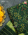 Traditional Navratna Green Single Ikat Rajkot Patola Dupatta