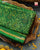 Traditional Navratna Manekchowk Mix Green Single Ikat Rajkot Patola Saree