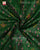 Traditional Panchanda Bhat Pink and Green Single Ikat Rajkot Patola Saree