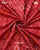 Traditional Panchanda Design Red Single Ikat Rajkot Patola Saree