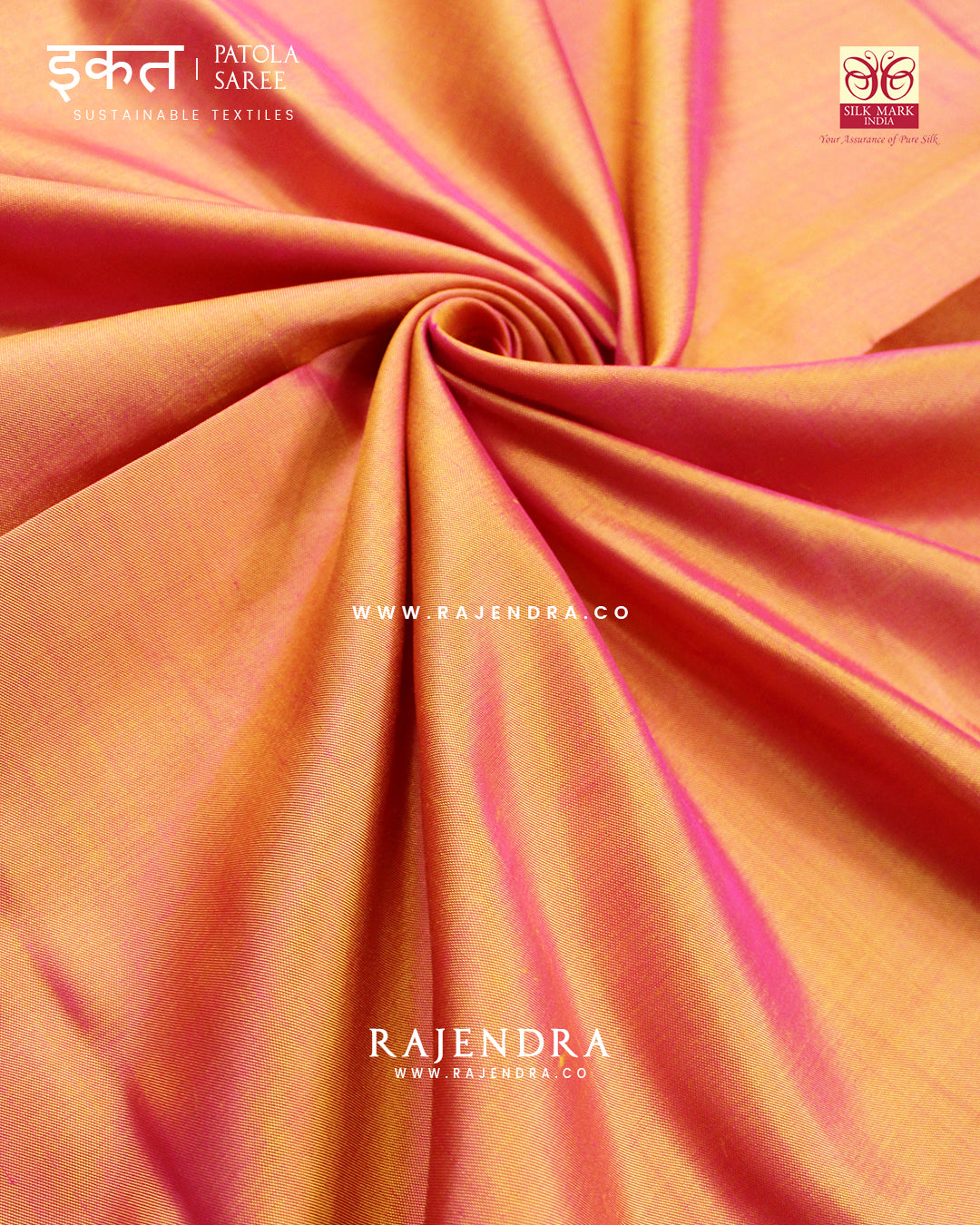 Traditional Gala Border Single Ikat Rajkot Patola Saree