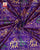 Traditional Hathi Popat Bhat Single Ikat Rajkot Patola Dupatta