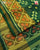 Exclusive Zari Butta Fancy Design Green Single Ikat Rajkot Patola Saree