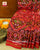 Traditional Adtala Bhat Semi Double Weave Rajkot Patola Saree
