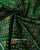 Traditional Bandhani Bhat Rajkot Patola Dupatta