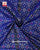 Traditional Buttonful Bhat Semi Double Weave Rajkot Patola Dupatta