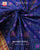 Traditional Panchanda Bhat Single Ikat Rajkot Patola Saree
