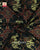 Exclusive Elephant Motif Single Ikat Rajkot Patola Dupatta