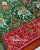 Traditional Chabadi ma Hathi Red Green Semi Double Ikat Rajkot Patola Dupatta