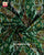 Traditional Chabadi ma Hathi Red Green Semi Double Ikat Rajkot Patola Dupatta