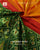 Exclusive 3 Color Hathi Popat Skirt Border Rajkot Patola Saree