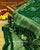 Traditional Nakshi Border Pure Gaji Silk Bandhani Saree
