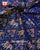 Traditional Hathi Popat Bhat Single Ikat Rajkot Patola Dupatta