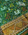 Traditional Hathi Popat Single Ikat Rajkot Patola Dupatta