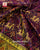 Traditional Hathi Popat Bhat Single Ikat Rajkot Patola Saree