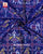 Traditonal Hathi Popat Semi Double Weave Rajkot Patola Dupatta