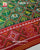Traditional Hathi Popat Bhat Semi Double Weave Rajkot Patola Dupatta