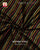 Exclusive Laheriya Bhat Single Ikat Rajkot Patola Saree
