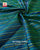 Exclusive Laheriya Bhat Single Ikat Rajkot Patola Saree