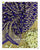 Pure Georgette Handloom Banarasi Bandhani Saree