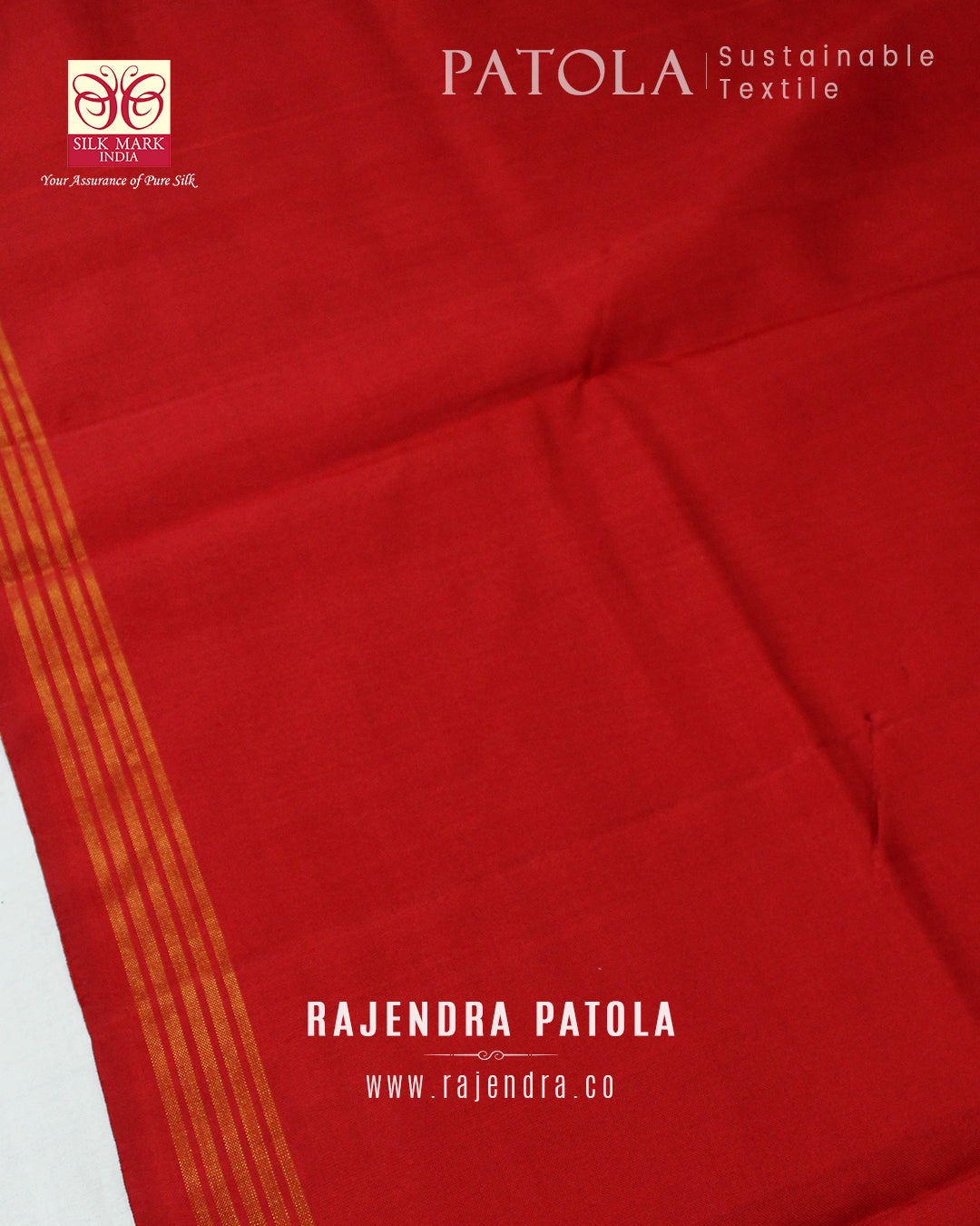 Intricate Handwoven Manekchowk Bhat Single Ikat Rajkot Patola Saree