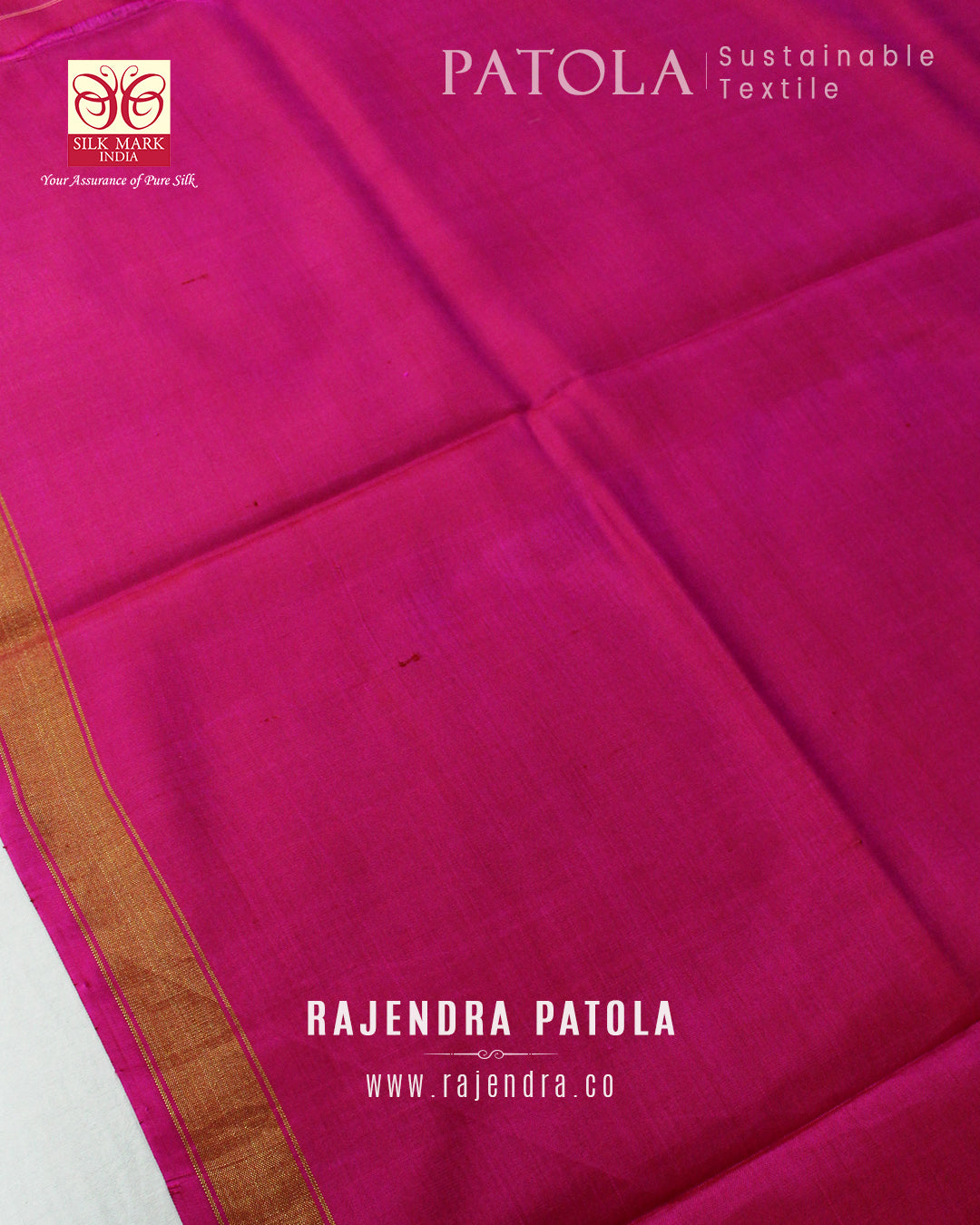 Intricate Handwoven Manekchowk Bhat Single Ikat Rajkot Patola Saree