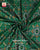 Exclusive Banarasi Palav Manekchowk Rajkot Patola Saree