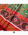 Traditional Hathi Popat Red and Green Semi Double Ikat Rajkot Patola Saree