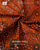 Traditional Navratna Semi Double Weave Rajkot Patola Saree