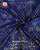 Traditional Navratna Bhat Single Ikat Rajkot Patola Dupatta