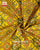 Intricate Handwoven Navratna Bhat Single Ikat Rajkot Patola Saree