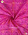 Traditional Panchanda Single Ikat Rajkot Patola Dupatta