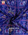 Hathi Popat Rani Pink and Blue Semi Double Weave Rajkot Patola Dupatta