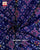 Navratna Design Red and Blue Semi Double Weave Rajkot Patola Dupatta