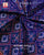 Traditional Panchanda Bhat Semi Double Weave Rajkot Patola Dupatta