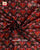 Exclusive Pan Bhat Design Semi Double Weave Rajkot Patola Saree