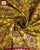 Traditional Navratan Red Yellow Semi Double Weave Rajkot Patola Dupatta