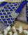 Traditional Royal Blue Banarasi Bandhani Saree