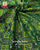 Traditional Manek chowk Semi Double Weave Rajkot Patola Dupatta