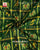 Traditional Zari Checks Pink Green Single Ikat Rajkot Patola Saree